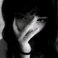 NoL1veeK