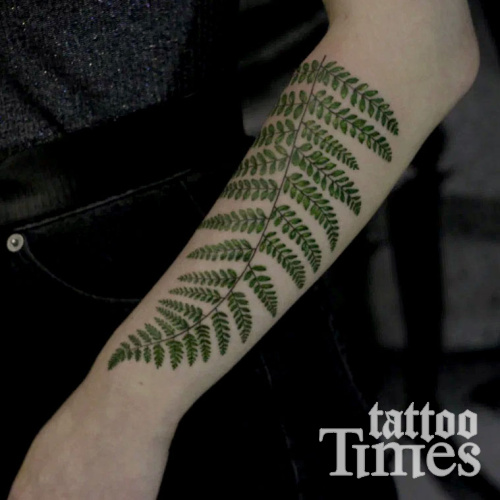 Тату папортник на руке